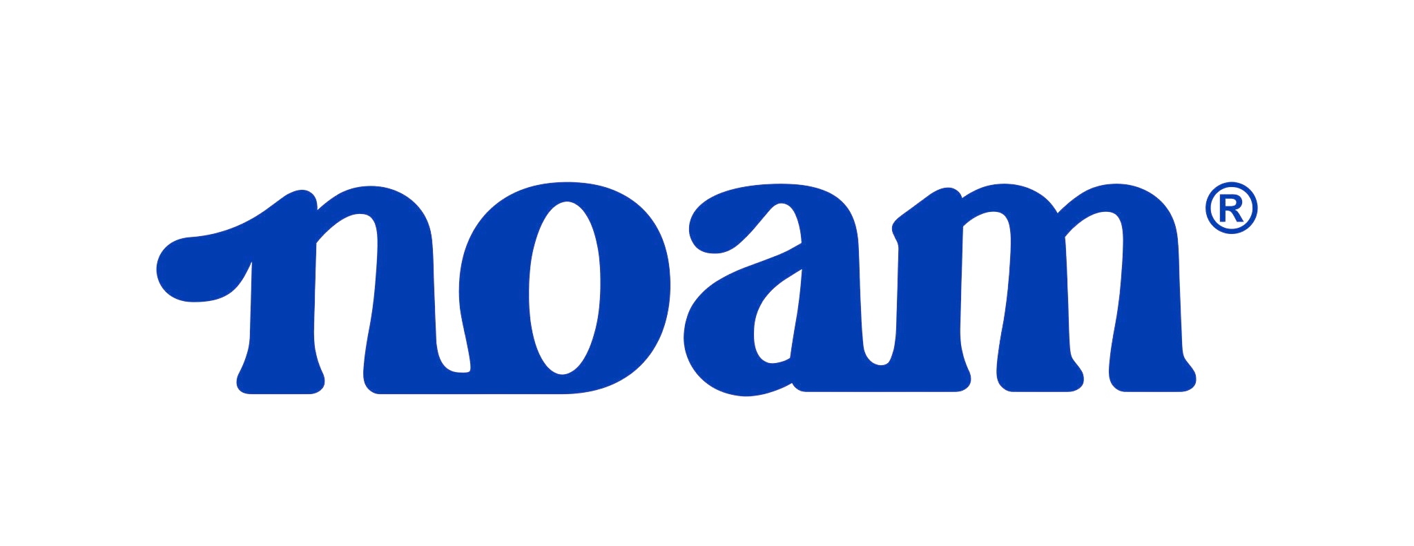 NOAM Official Logo